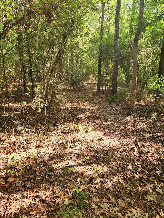 3994 County Road 774, Douglass, TX 75943 - photo 9