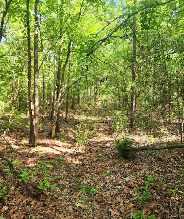 3994 County Road 774, Douglass, TX 75943 - photo 11