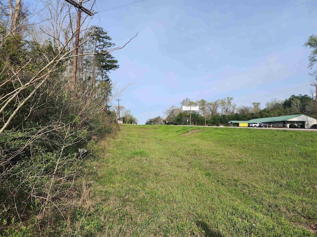 1100 W Court St, Newton TX, 75966 land for sale