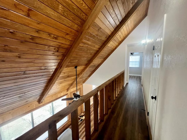 hall featuring vaulted ceiling with beams, dark hardwood / wood-style floors, and wood ceiling