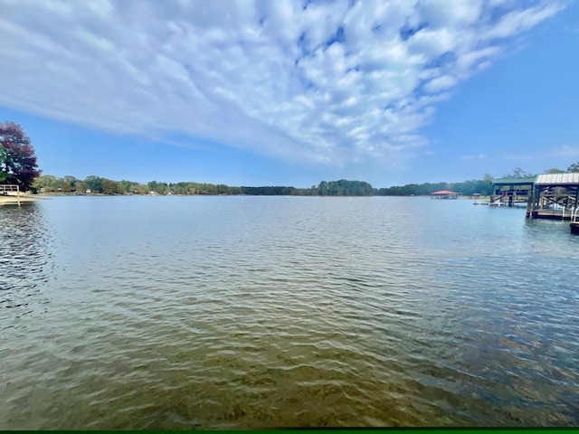 419 Pinemont Dr, Hemphill, TX 75948 - water view