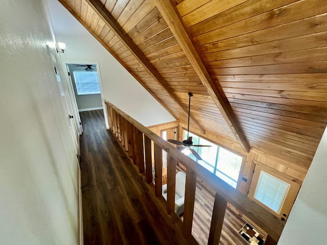 hall featuring lofted ceiling with beams, wood ceiling, dark wood-type flooring, and wooden walls