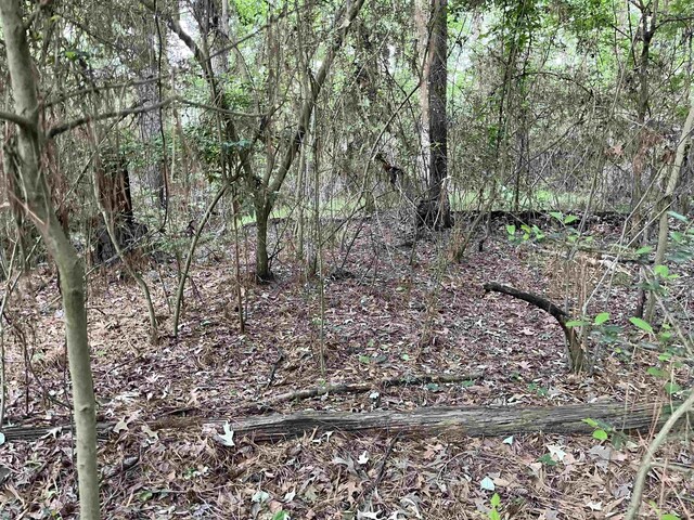 R000126851 Starboard Dr, Hemphill, TX 75948