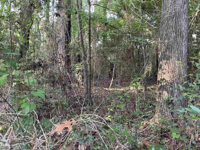 R000126851 Starboard Dr, Hemphill, TX 75948