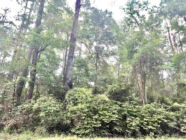 R000126851 Starboard Dr, Hemphill, TX 75948
