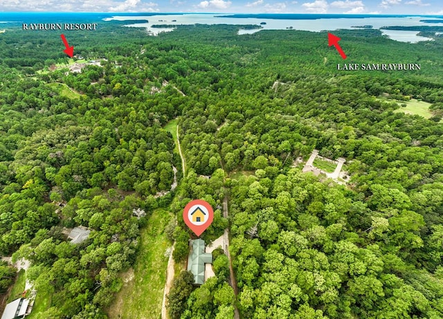 194 Woodsedge Dr, Brookeland, TX 75931 - aerial overview of property's location featuring a forest and a nearby body of water