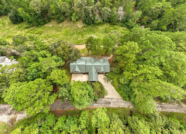 194 Woodsedge Dr, Brookeland, TX 75931 - view of subject property