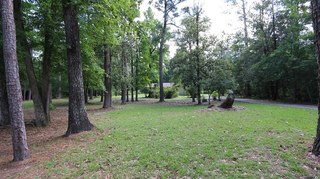 8903 US Highway 190, Bon Wier, TX 75928 - photo 26