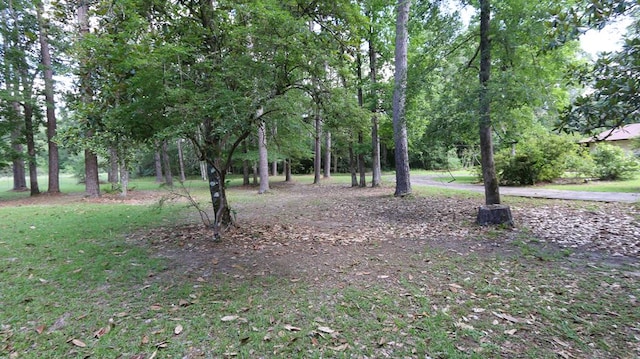 8903 US Highway 190, Bon Wier, TX 75928 - photo 25