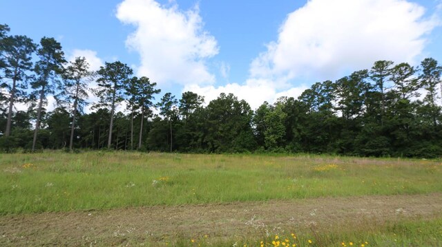 8903 US Highway 190, Bon Wier, TX 75928 - photo 28