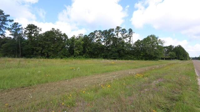 8903 US Highway 190, Bon Wier, TX 75928 - photo 29