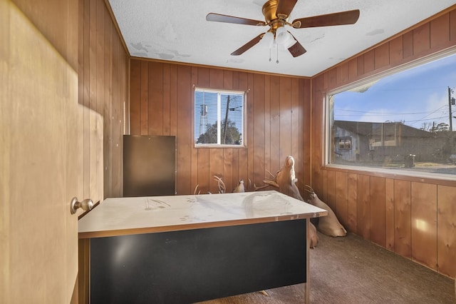 office featuring plenty of natural light, wooden walls, and carpet flooring