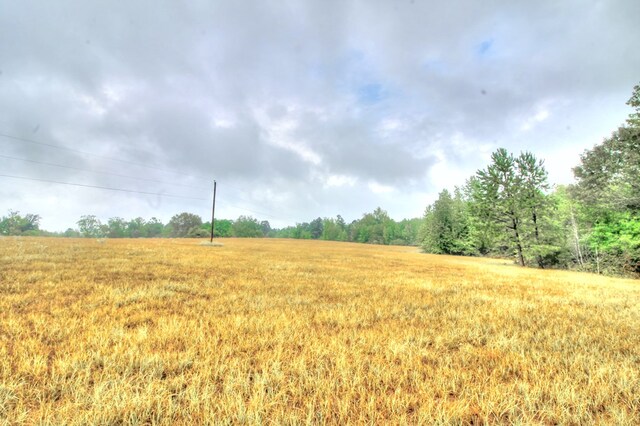 TRCT3 Fm 1911, Alto, TX 75925 - photo 4