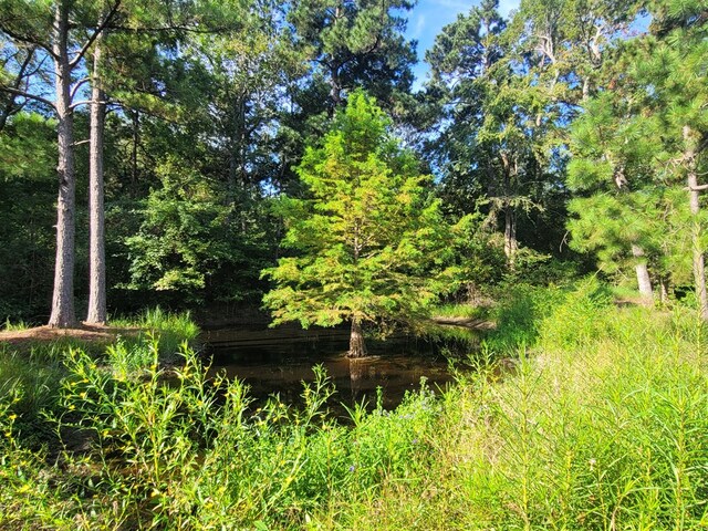 339 Liles Ln, Hudson, TX 75904 - view of woods