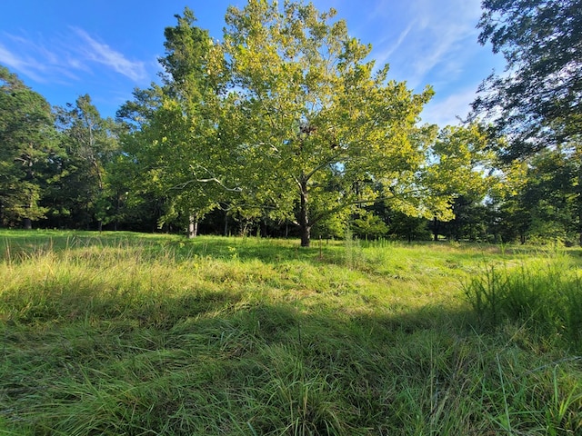 339 Liles Ln, Hudson, TX 75904 - view of undeveloped land