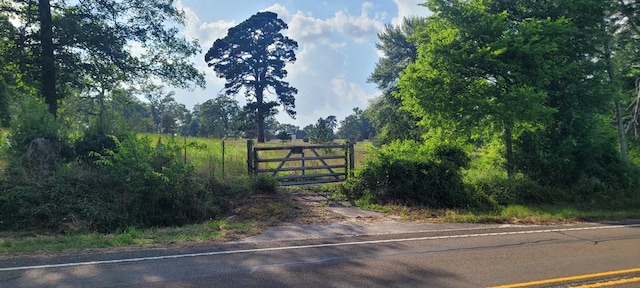 339 Liles Ln, Hudson, TX 75904 - view of gate