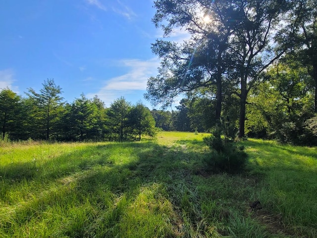 view of nature