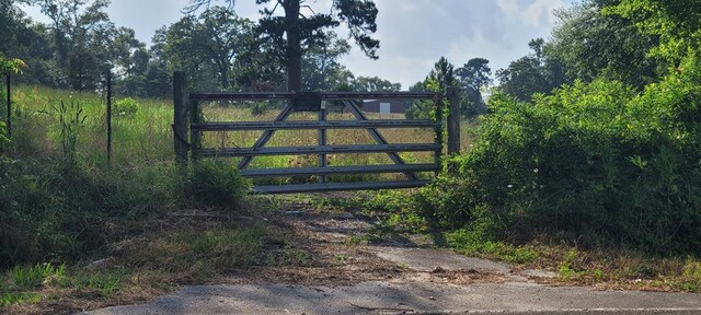 339 Liles Ln, Hudson, TX 75904 - view of gate
