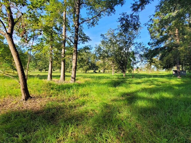 339 Liles Ln, Hudson, TX 75904 - view of yard