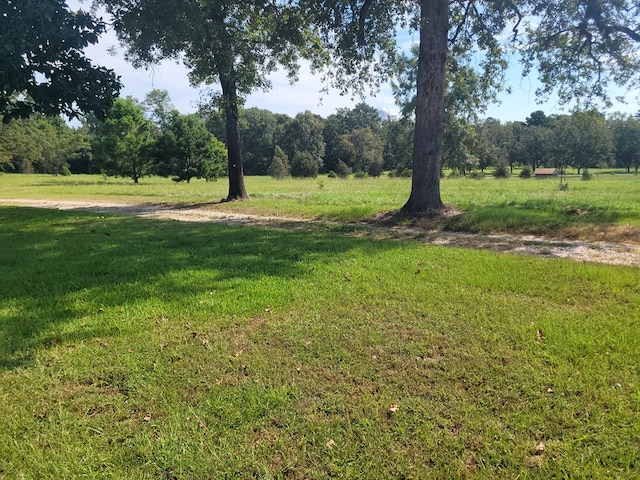 339 Liles Ln, Hudson, TX 75904 - view of green lawn featuring a forest view