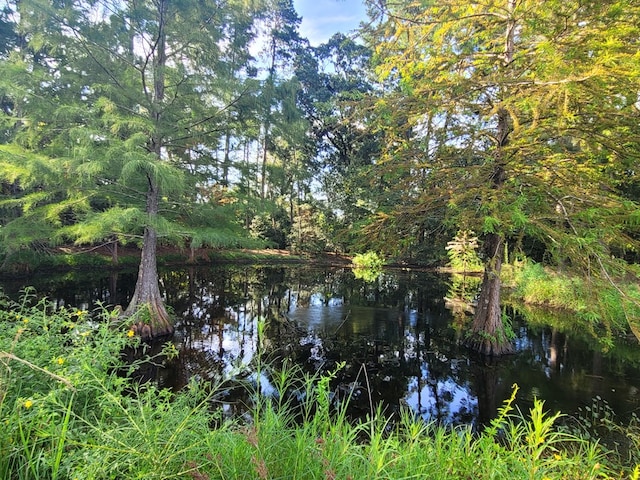 view of landscape with a water view