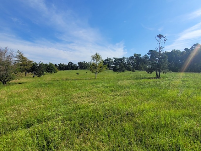 view of local wilderness with a rural view