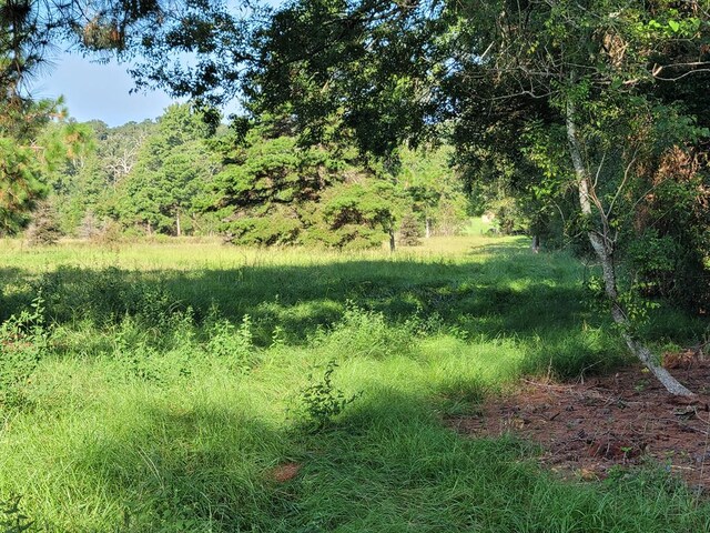 339 Liles Ln, Hudson, TX 75904 - view of wooded area