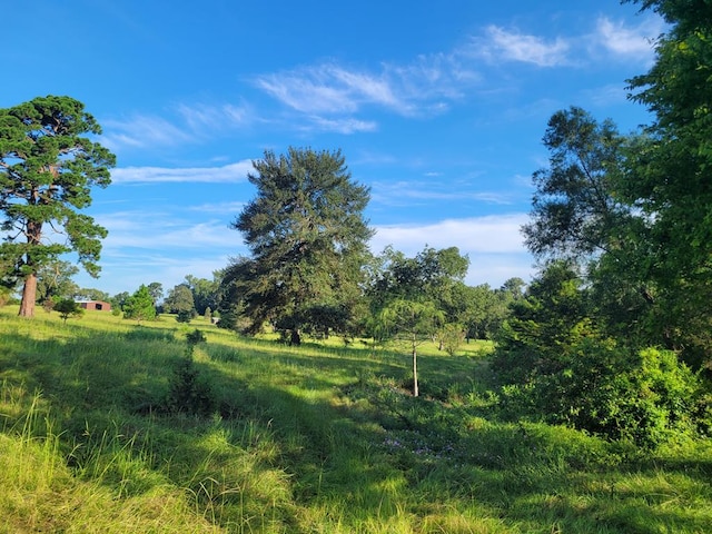 view of landscape with a rural view