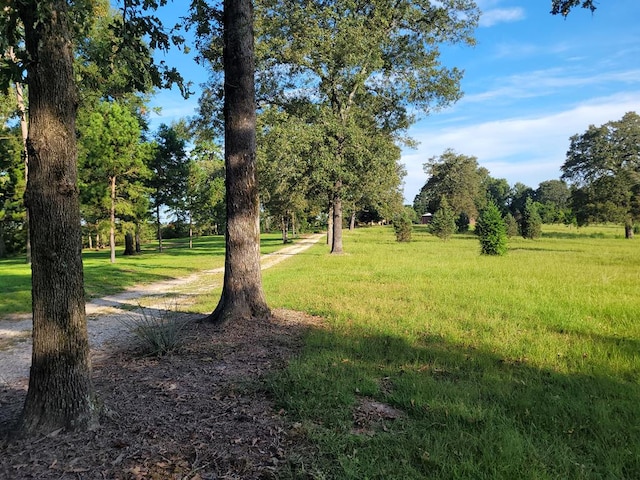 339 Liles Ln, Hudson, TX 75904 - view of community with a yard