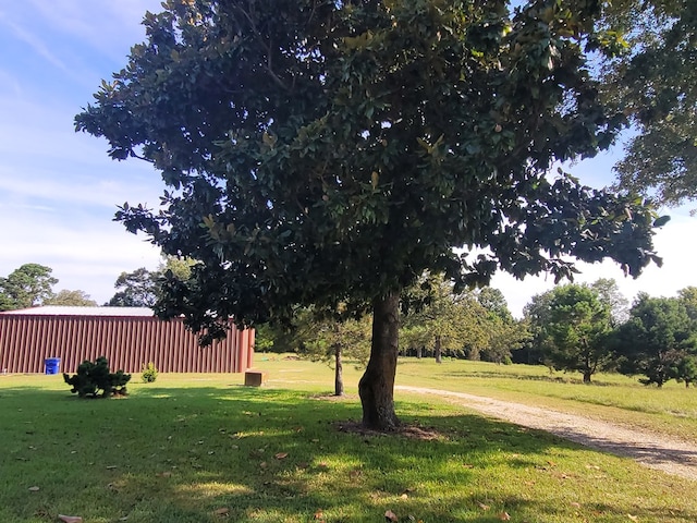 339 Liles Ln, Hudson, TX 75904 - view of grassy yard with a pole building and an outbuilding