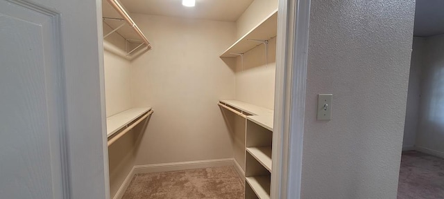 spacious closet featuring carpet floors