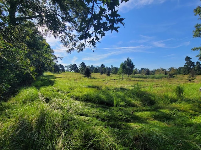 view of landscape with a rural view