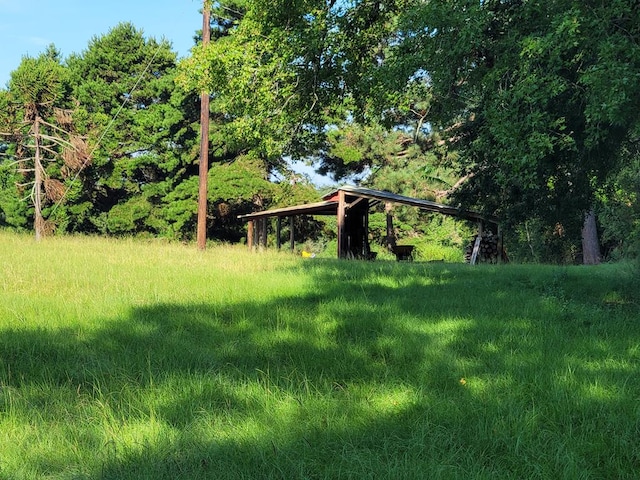 339 Liles Ln, Hudson, TX 75904 - view of yard