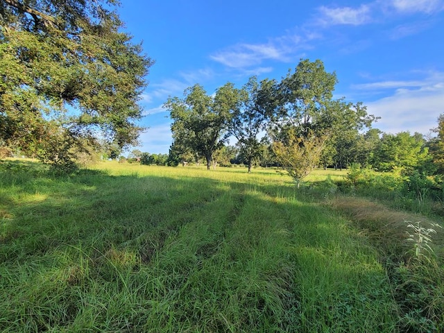 view of nature featuring a rural view