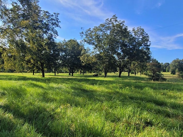 339 Liles Ln, Hudson, TX 75904 - view of nature with rural landscape