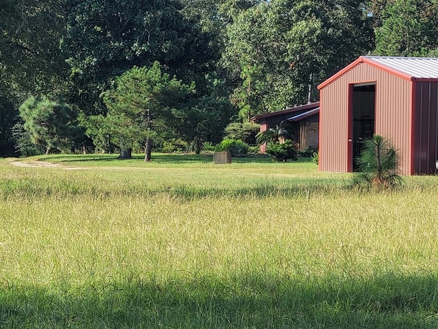 view of yard featuring a storage shed