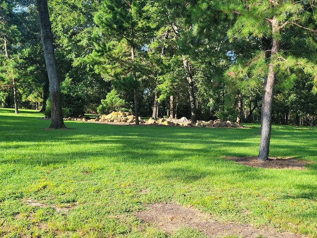 339 Liles Ln, Hudson, TX 75904 - view of green lawn