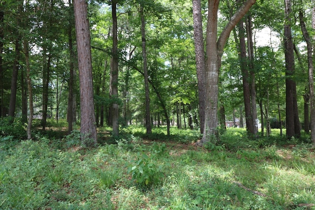 LOT104 Hunterwood Dr, Jasper, TX 75951 - photo 5
