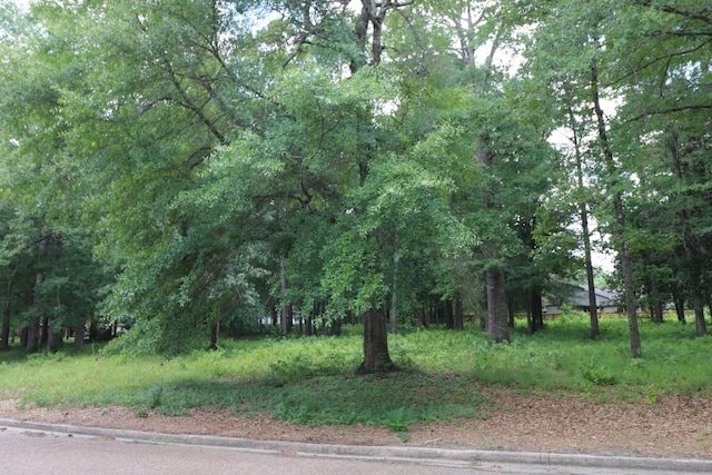 LOT104 Hunterwood Dr, Jasper, TX 75951 - photo 8