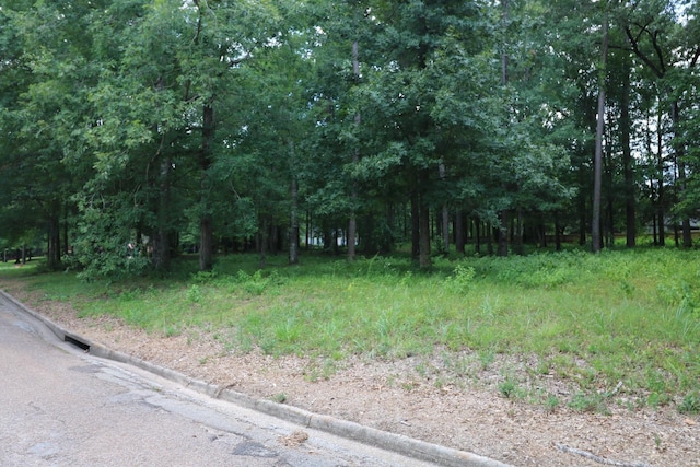LOT104 Hunterwood Dr, Jasper, TX 75951 - photo 7