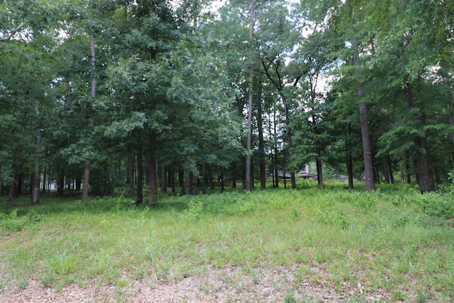 LOT104 Hunterwood Dr, Jasper, TX 75951 - photo 6
