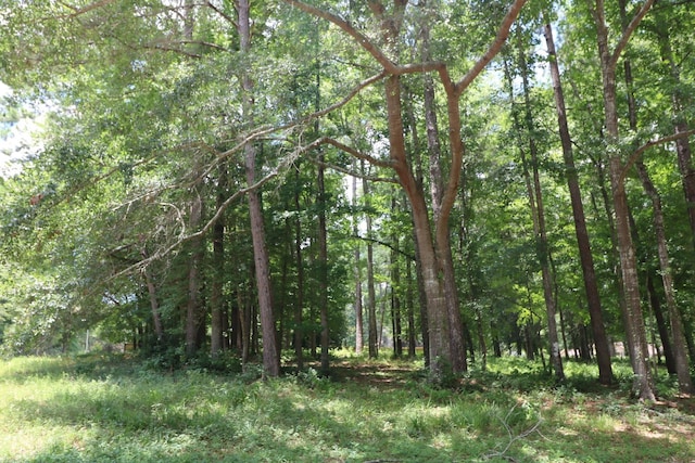 LOT104 Hunterwood Dr, Jasper, TX 75951 - photo 2