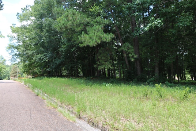 LOT104 Hunterwood Dr, Jasper, TX 75951 - photo 4
