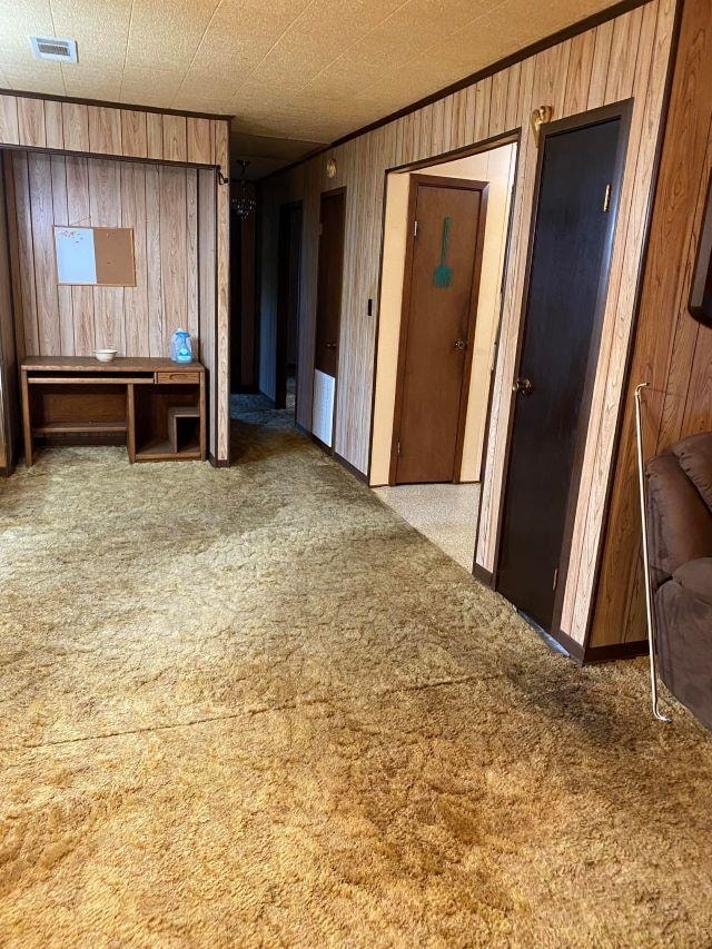 carpeted empty room featuring wood walls