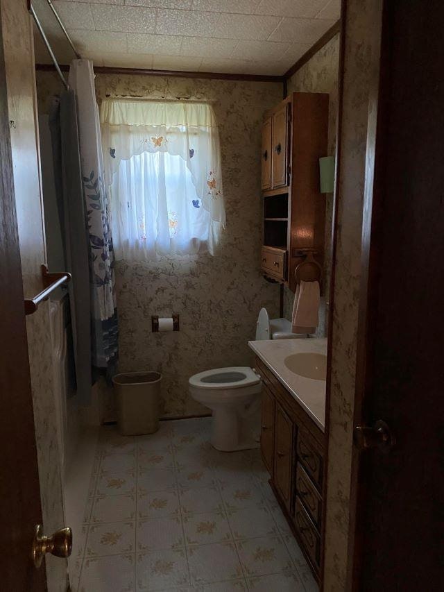 bathroom with toilet, vanity, and walk in shower