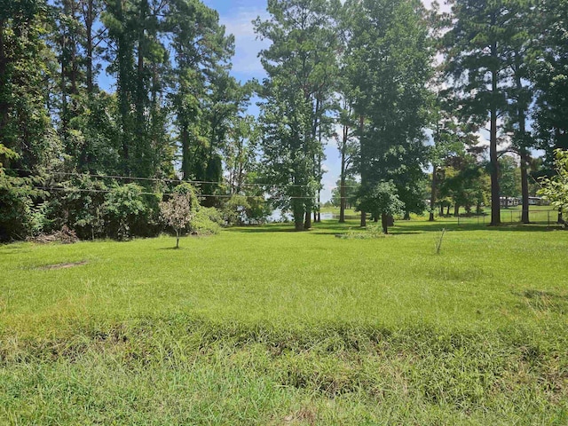 187 Glory St, Hemphill, TX 75948 - photo 1
