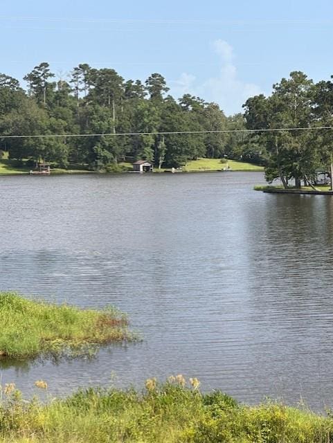 204 Pine Forest Dr, Woodville, TX 75979 - photo 1