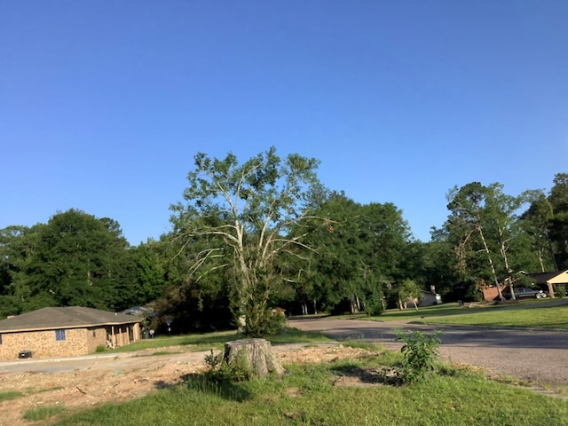 442 Rosewood Dr, Jasper, TX 75951 - photo 3