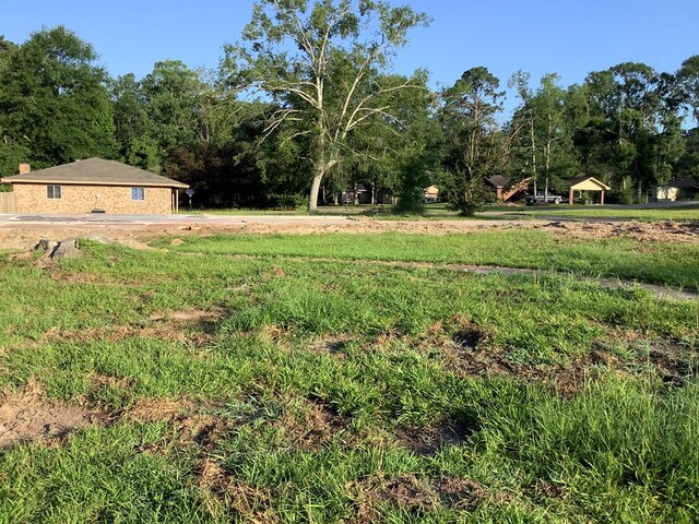 442 Rosewood Dr, Jasper, TX 75951 - photo 7