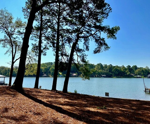 2432 Lake Park Ln, Jacksonville, TX 75766